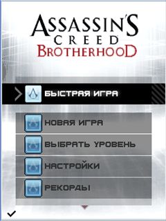 Assassins Creed Brotherhood ( ) /   