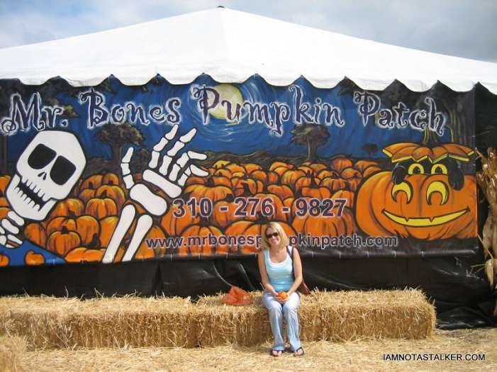   Pumpkin Patch