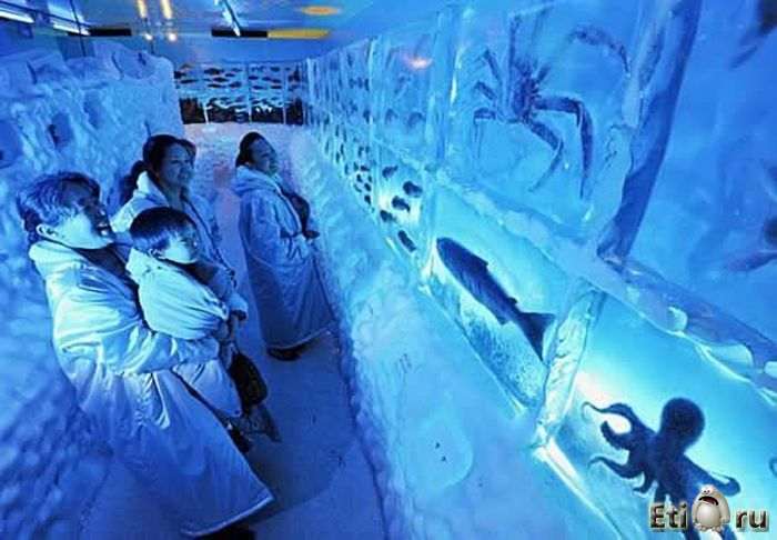 Замороженный аквариум в Японии