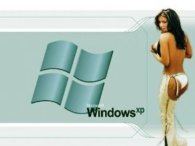       Microsoft Windows