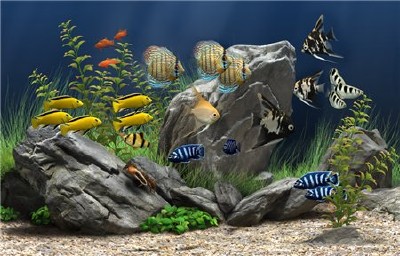 Dream Aquarium Screensaver 1.24 Final Portable